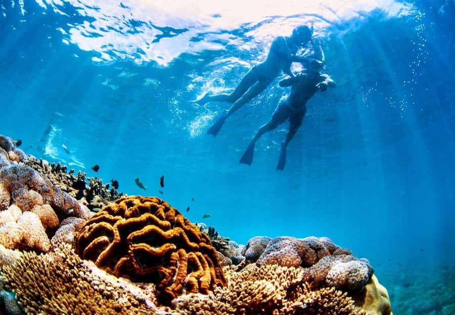 From Bali: Reef Cruise Day Trip to Nusa Lembongan - From Benoa Harbour to Lembongan Bay: timing and transport that actually matter