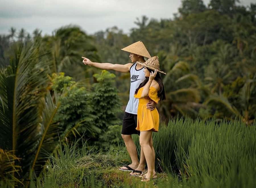 From Bali: Saraswati Temple, Monkey Forest, Ubud Waterfalls - Ubud Palace and the Traditional Art Market: quick culture, smarter shopping