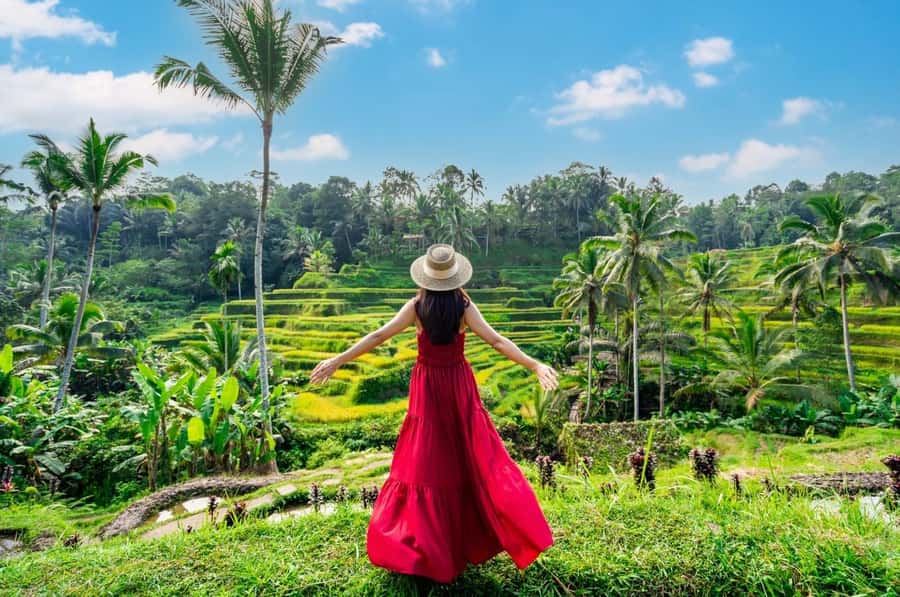 From Bali: Saraswati Temple, Monkey Forest, Ubud Waterfalls - Price and value: what $34 buys you (and what might cost extra)