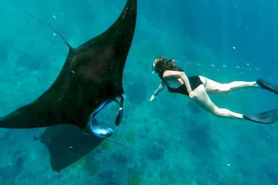 From Bali: Snorkeling 3 Spots To Nusa Penida & Lembongan - Price and value: what $72 gets you (and why it can be fair)