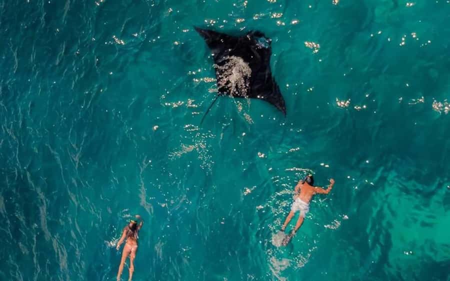 From Bali: Snorkeling 3 Spots To Nusa Penida & Lembongan - How many snorkeling spots will you actually see?