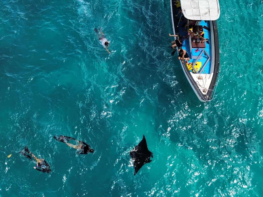 From Bali: Snorkeling 3 Spots To Nusa Penida & Lembongan - Little tips that can make or break your enjoyment