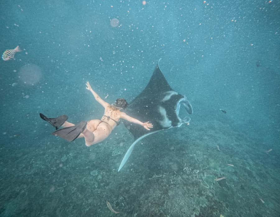 From Bali: Snorkeling 3 Spots with GoPro & West Penida Tour - Bali to Nusa Penida the practical way: why this combo works