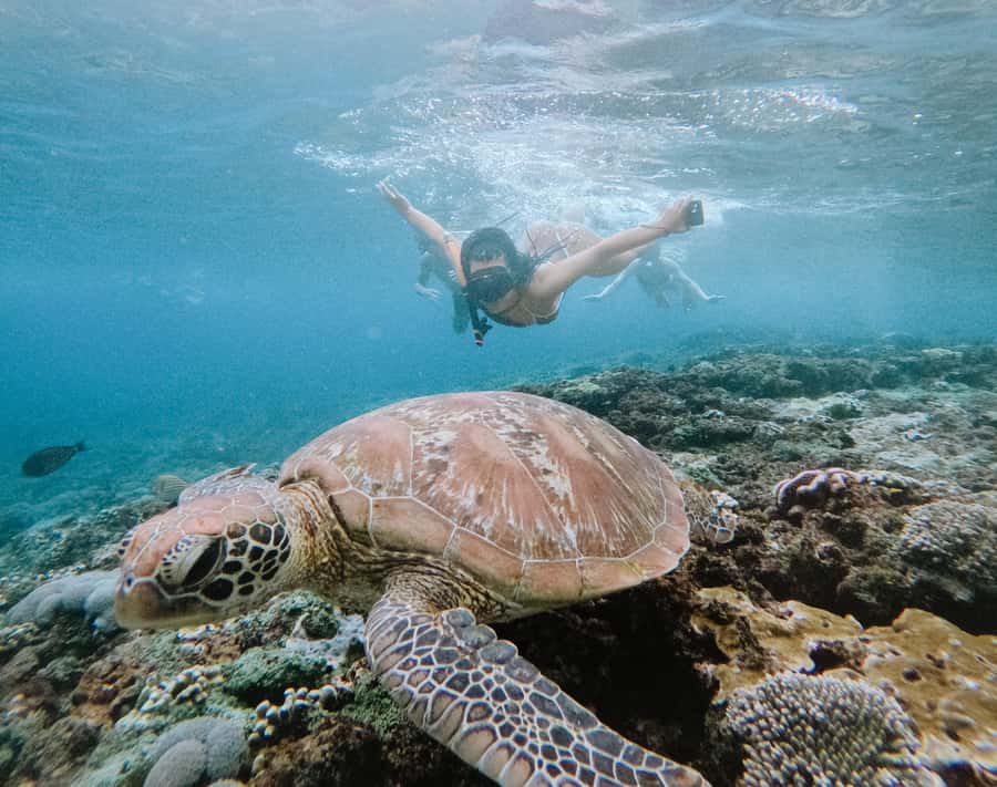 From Bali: Snorkeling at Manta Point Nusa Penida & Land Tour - From Sanur to Nusa Penida: the fastboat morning that shapes the whole day