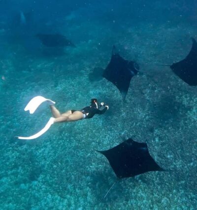 From Bali: Snorkeling at Manta Point Nusa Penida & Land Tour - Manta Point snorkeling: what the water conditions mean for your chances