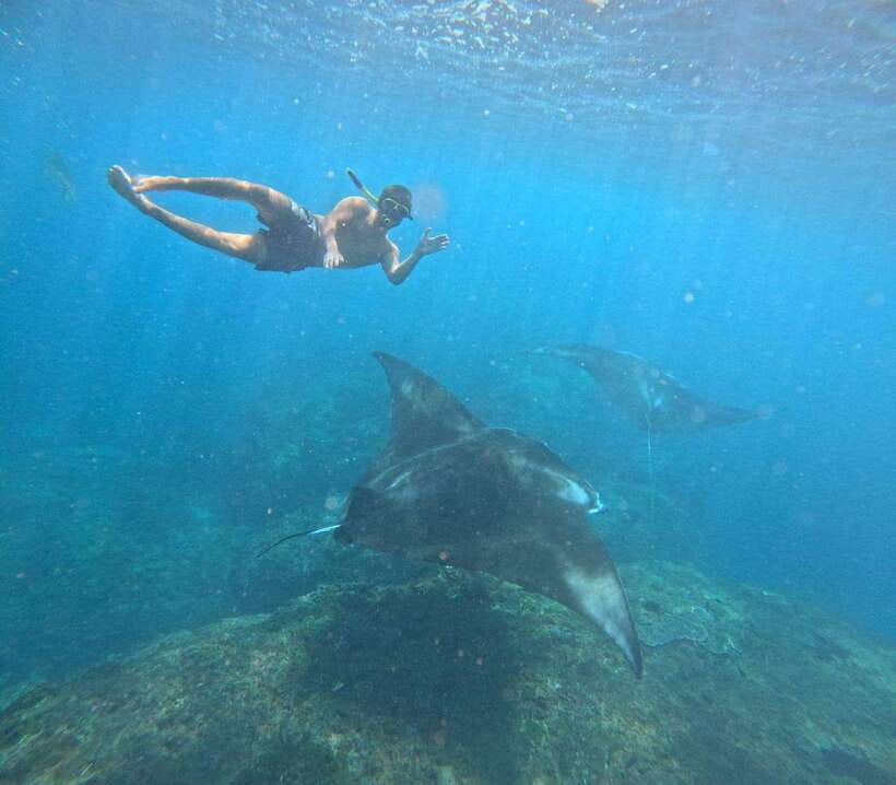 From Bali : Snorkeling & Nusa Penida Island Tour with Lunch - Nusa Penida land tour: why the private car and guides matter
