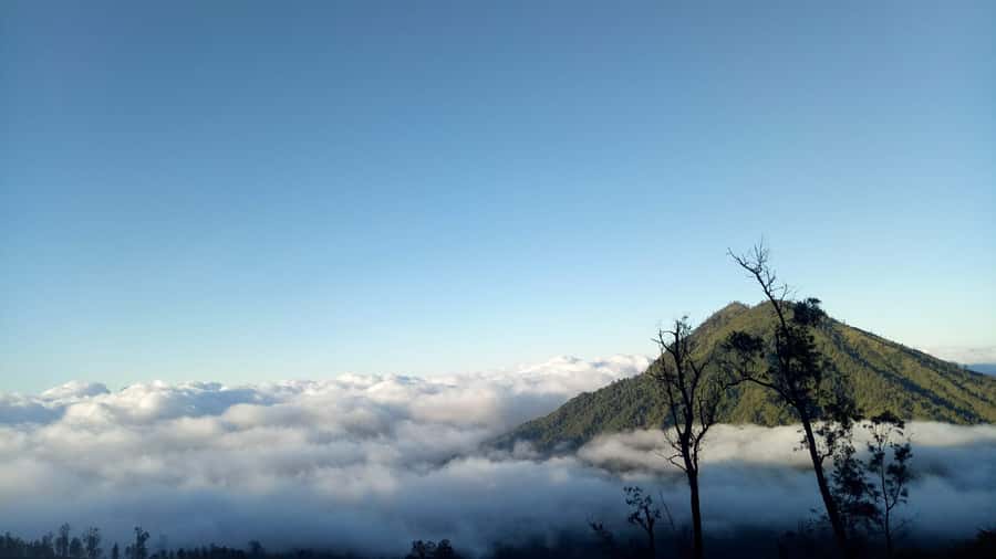 From Bali : The Majestic Mount Ijen Sunrise Trekking - Price and value: what you pay for on this 1-day Java trip