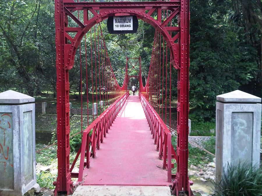 From Bandung: Tea Plantation and Botanical Garden Tour - Key things that make this tour worth your time