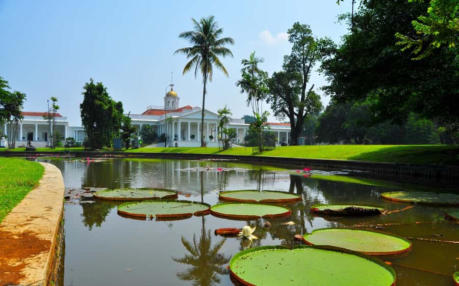 From Bandung: Tea Plantation and Botanical Garden Tour - A Bandung-to-Jakarta day that saves you stress