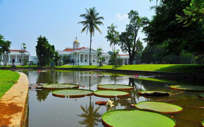 From Bandung: Tea Plantation and Botanical Garden Tour - Who should book this tour (and who should skip it)