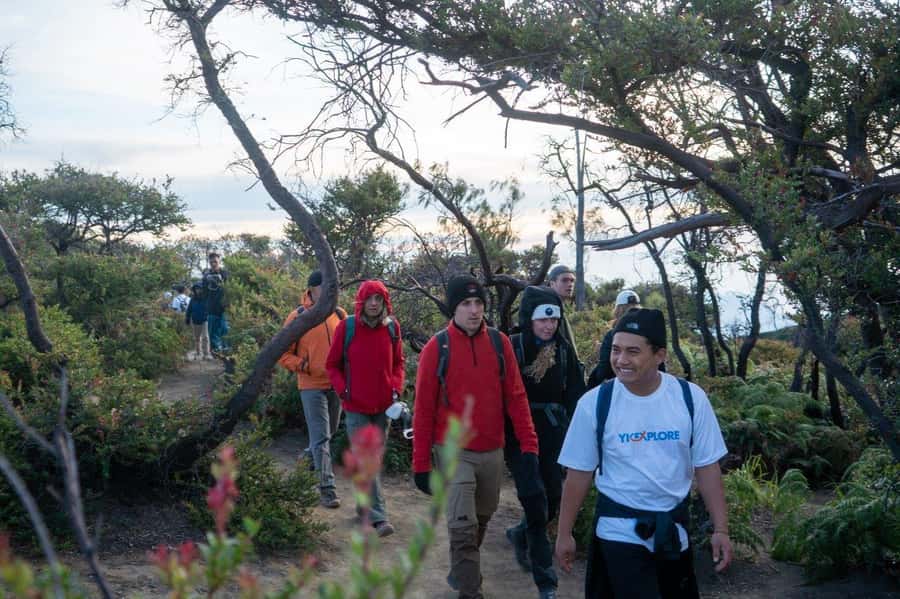 From Banyuwangi: Day Trip to Ijen Volcano with Guided Trek - Ijen crater rim: the turquoise acid lake moment