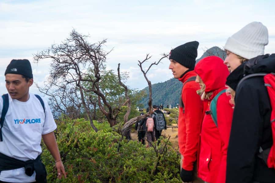From Banyuwangi: Day Trip to Ijen Volcano with Guided Trek - Sunrise from the crater top: the payoff after cold and effort
