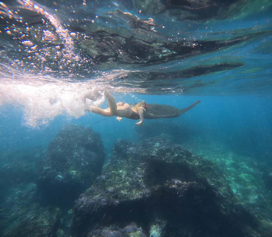 From Ceningan: Snorkeling with Manta Rays at Manta Point - What to Bring: Small Things That Save Big Headaches