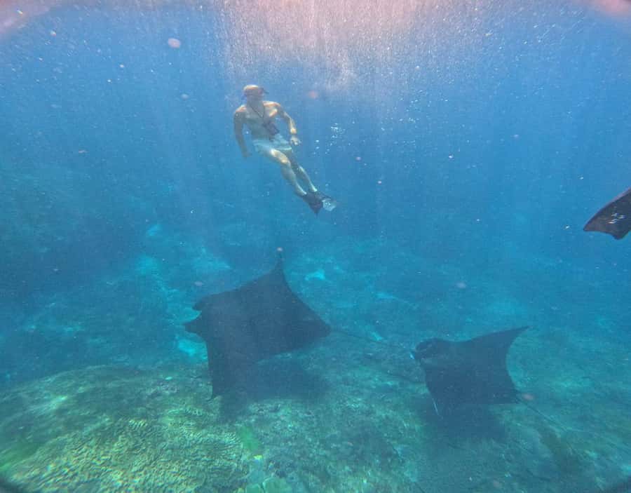 From Ceningan: Snorkeling with Manta Rays & Land Tour - Why manta-ray snorkeling from Ceningan feels like a real day out