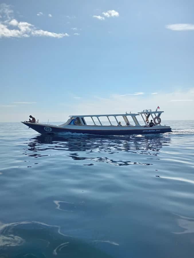 From Gili Air : 3 Islands Snorkeling Trip with Sea Turtles - Price and Value: Is $14 a Smart Deal?
