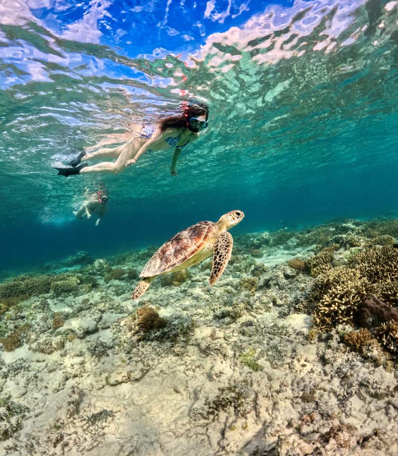 From Gili Air: Private or Small Group Snorkeling Boat Tour - Private or small group: which one gives you better value?
