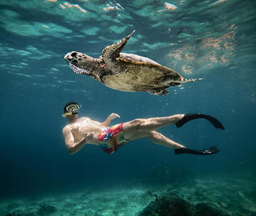 From Gili Air: Snorkeling with Turtles & Underwater Statue - Gili Air Start: Oseana meeting point and getting geared up
