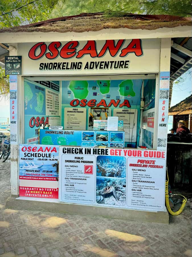 From Gili Air: Snorkeling with Turtles & Underwater Statue - Weather, safety, and the reality of timing