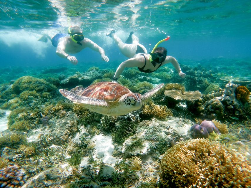 From Gili Meno: Private Snorkeling with Turtle & Statue - What’s Included (and What You’ll Need to Bring)