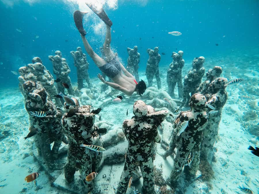 From Gili Meno: Private Snorkeling with Turtle & Statue - Private Glass-Bottom Boat vs. the Usual Crowd Chaos