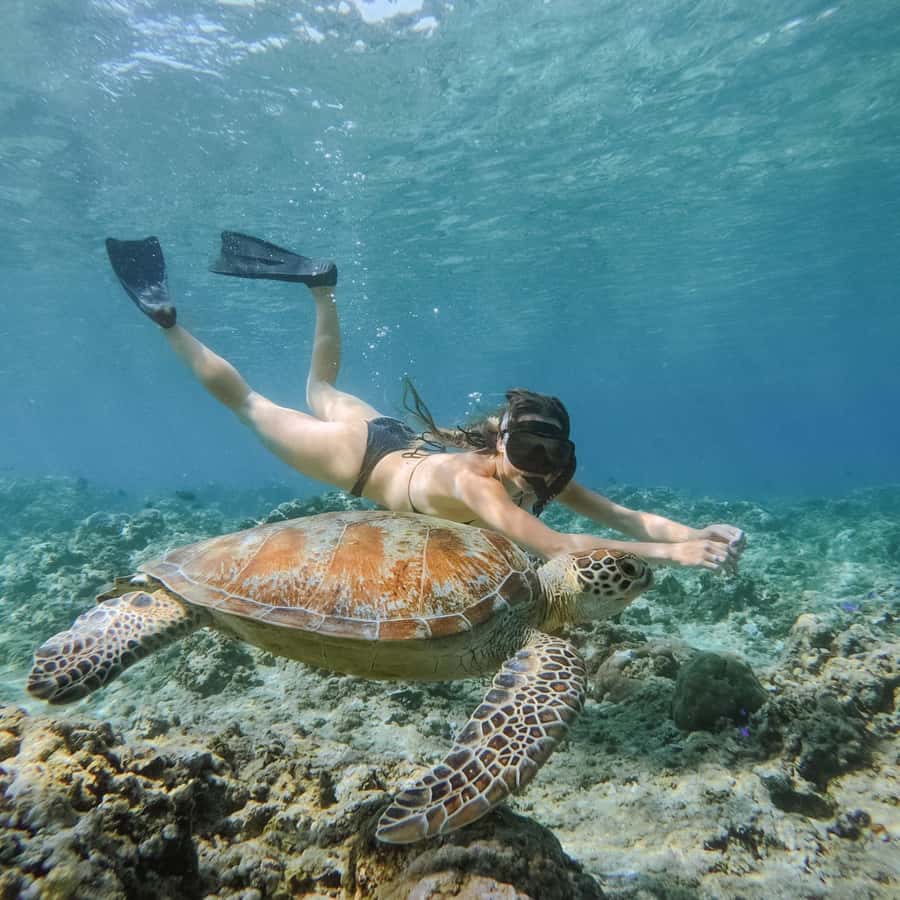 From Gili Meno: Private Snorkeling with Turtle & Statue - Underwater Statue Point: Iconic Views, Peak-Hour Reality