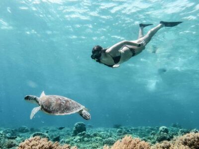 From Gili Meno: Private Snorkeling with Turtle & Statue - Your Route: Three Gili Meno Snorkeling Stops With Turtles and Statues