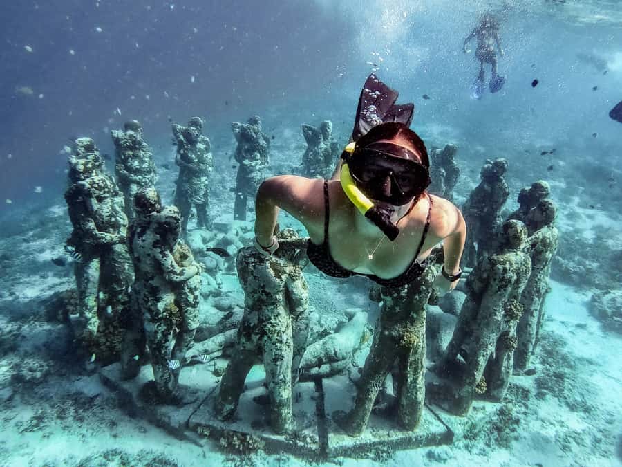 From Gili Meno: Private Snorkeling with Turtle & Statue - Sea Turtles Up Close Without the Frantic Energy