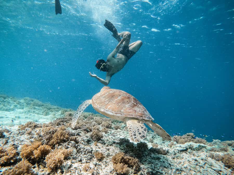 From Gili Meno: Private Snorkeling with Turtle & Statue - Timing and Weather: How to Choose the Right Start Time
