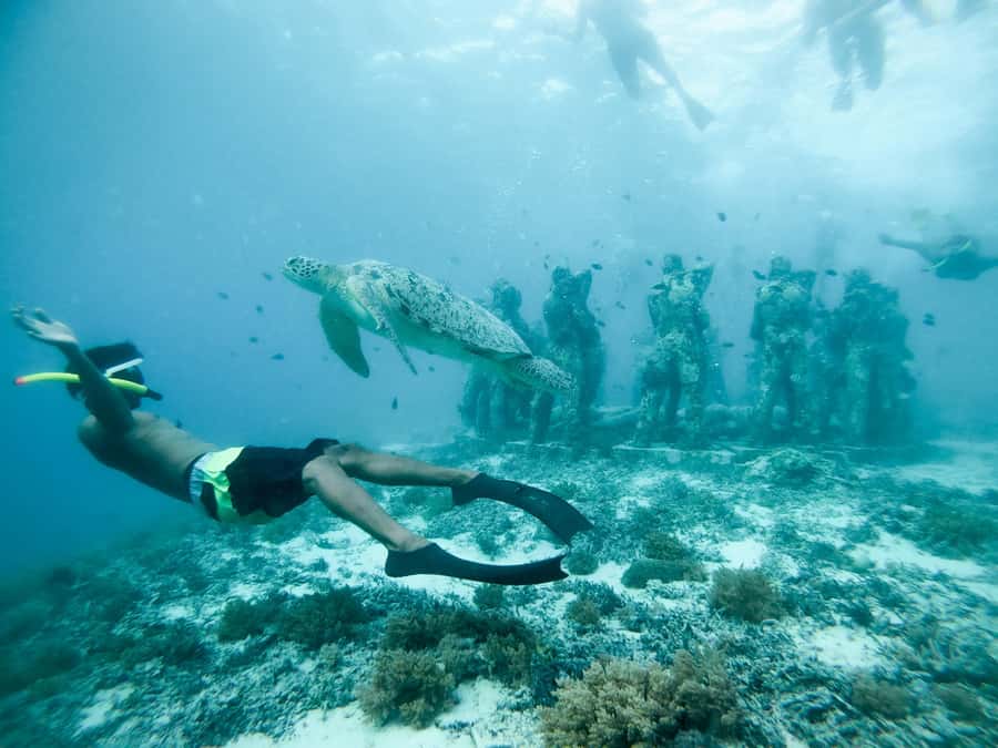 From Gili Meno: Private Snorkeling with Turtle & Statue - Gili Air Mainland Time on the 3–4 Hour Options