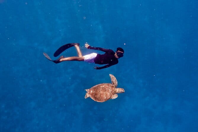 From Gili Trawangan & Gili Air Snorkeling Trip Sharing & Private - Group vs Private: Crowds, Swim Space, and Flexible Timing