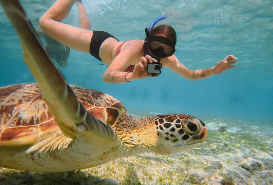 From Gili Trawangan: Gili Islands Snorkeling Boat Tour - Key takeaways
