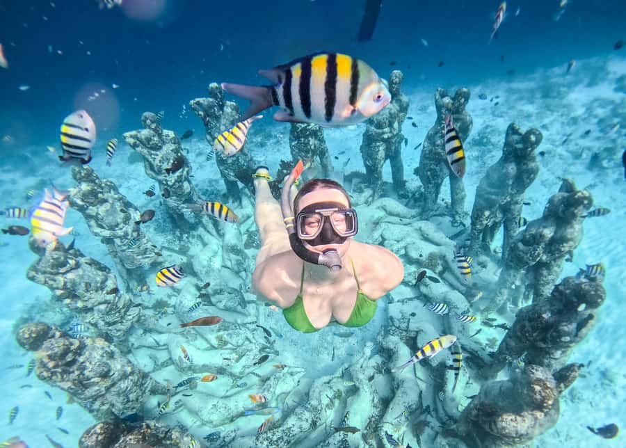 From Gili Trawangan: Gili Islands Snorkeling Boat Tour - Turtle Point reef: how guides boost your odds