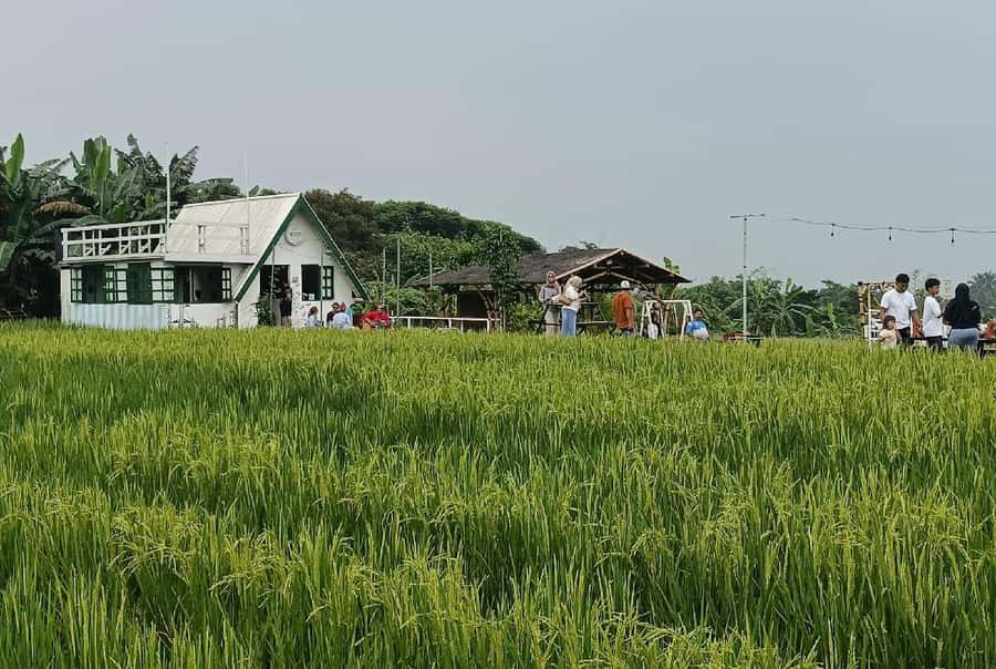From Jakarta: Bogor Botanical Garden, Ricefield, & Waterfall - Price and value: what $92 gets you for a full 10-hour private day