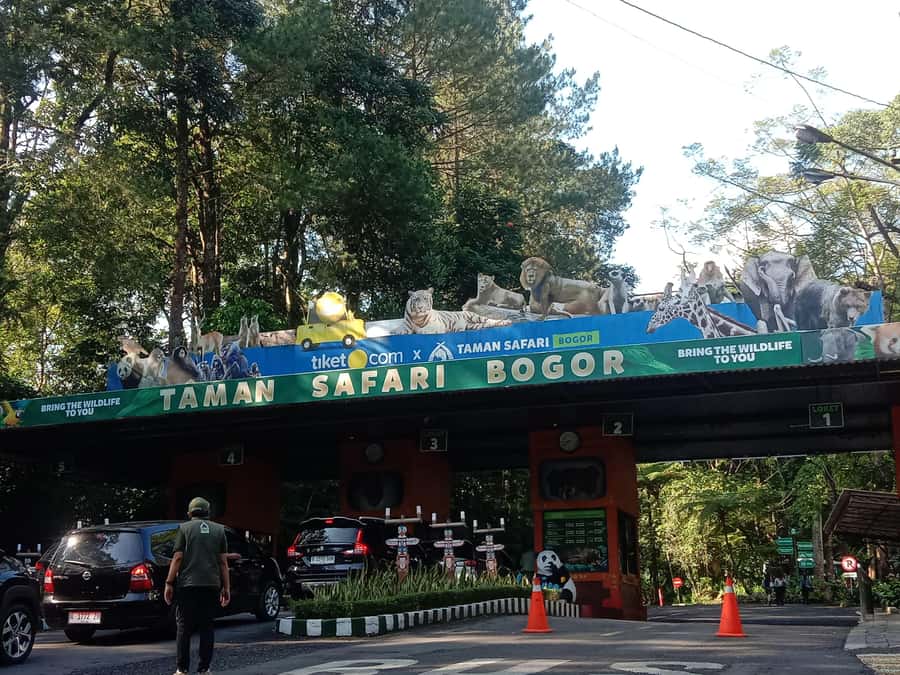 From Jakarta: Private Taman Safari Day Tour - Price at $107: What You’re Really Paying For