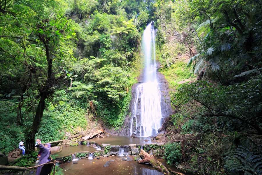 From Jakarta: Safari Park, Tea Plantation & Jaksa Waterfall - From Jakarta to Three Countryside Stops in One Day