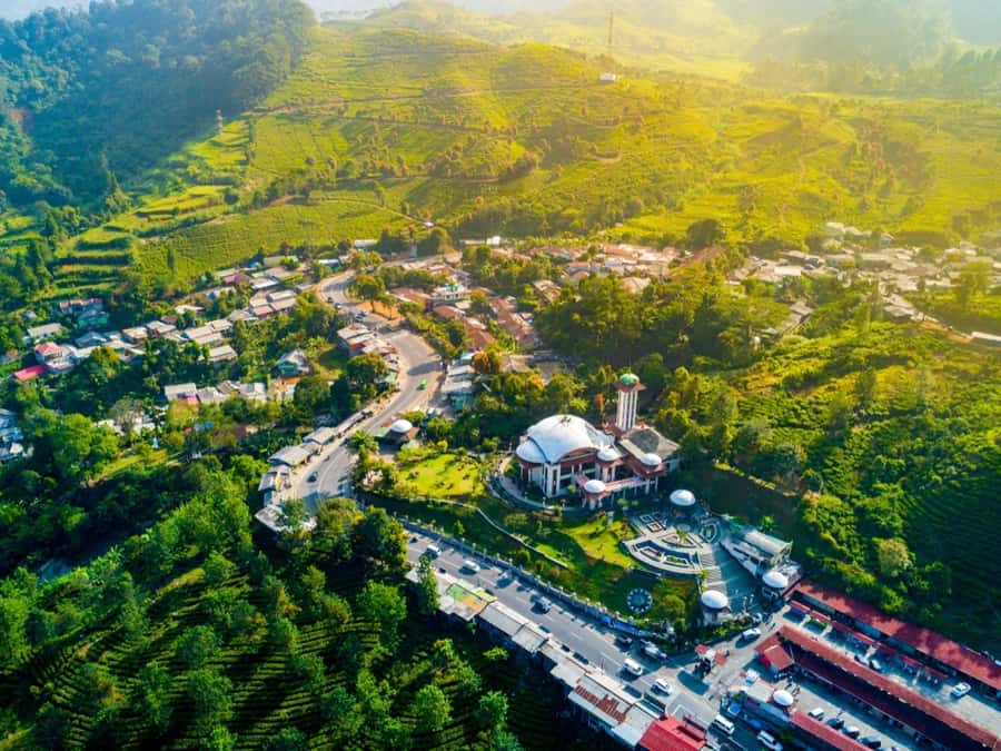 From Jakarta: Safari Park, Tea Plantation & Jaksa Waterfall - Should you book Safari Park, Tea Plantation & Jaksa Waterfall?