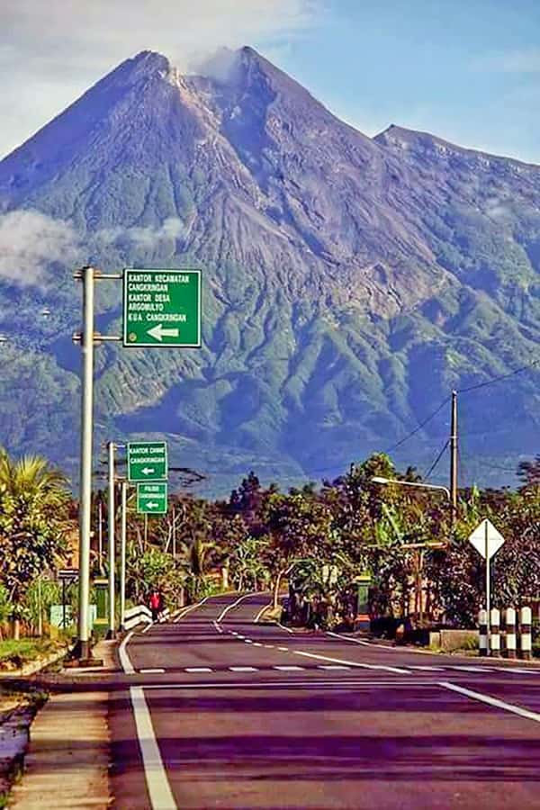 From Jakarta : Volcano, Tea & Rice Fields, Hot Spring - Luwak coffee Cikole: tasting and the story behind the buzz