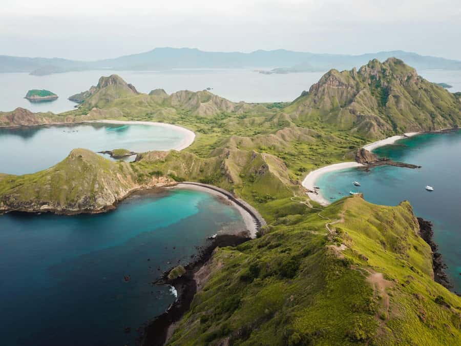 From Labuan Bajo Explore komodo island & Snorkeling - A 10-hour Labuan Bajo combo built around big nature moments