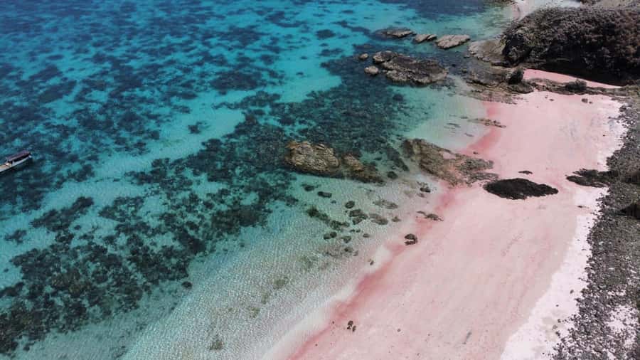 From Labuan Bajo Explore komodo island & Snorkeling - Siaba Island for turtles: continuing the underwater theme