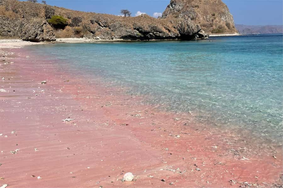 From Labuan Bajo: Komodo Dragons and Island Hop with All Fee - From Labuan Bajo pickup to the harbor: getting oriented fast