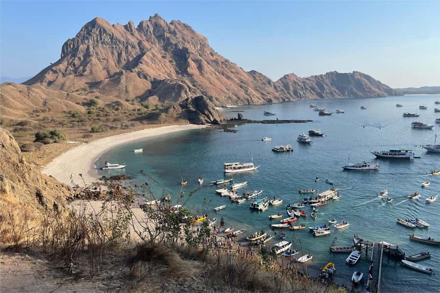 From Labuan Bajo: Komodo Dragons and Island Hop with All Fee - Pink Beach: warm water, relaxed sand, and a good reset