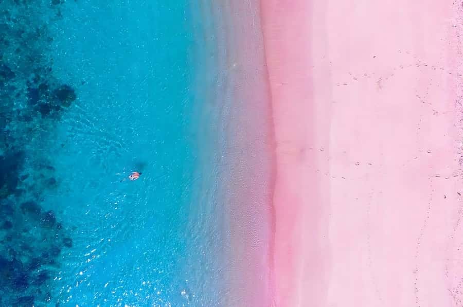 From Labuan Bajo: Komodo Island Day Tour with Snorkeling - Pink Beach: the pink sand part is real, but plan for slippery exits
