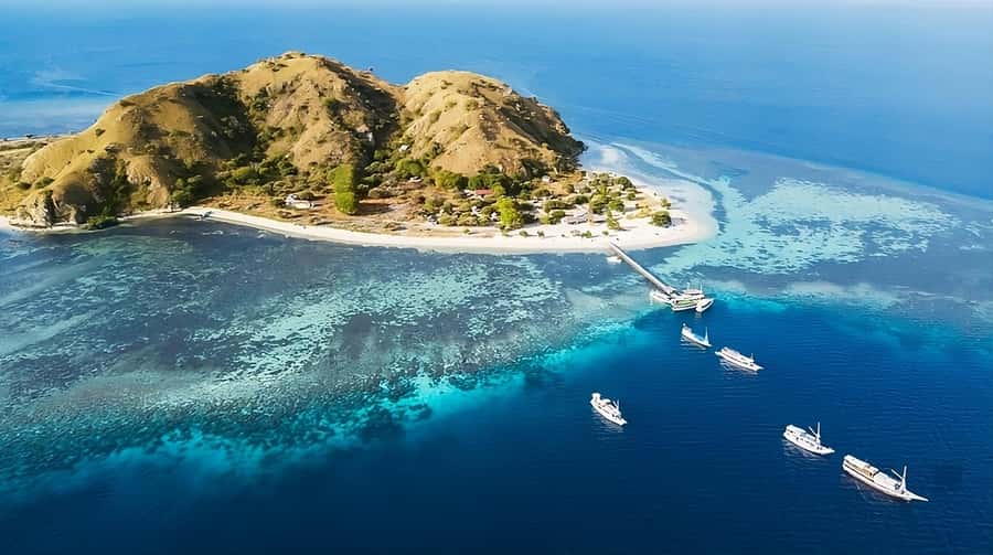 From Labuan Bajo: Komodo Island Day Tour with Snorkeling - Komodo Island ranger walk: dragons without the chasing