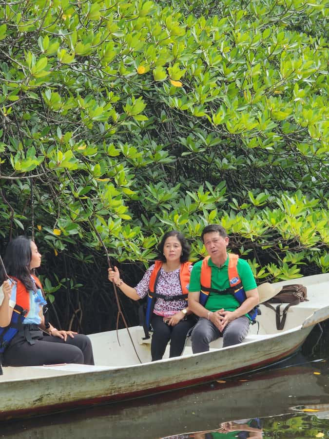 From Lembongan: Kayak/Paddleboard/Boat Mangrove Tour - Should You Book This Mangrove Kayak or Transparent Boat Tour?