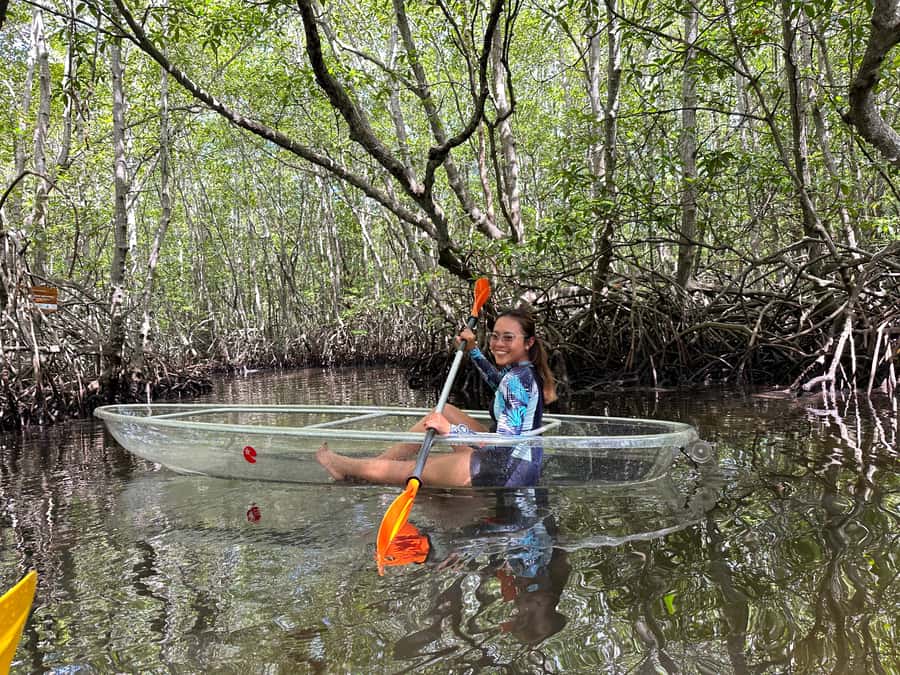 From Lembongan: Kayak/Paddleboard/Boat Mangrove Tour - Price and Value: Why This One-Hour Tour Costs About $10
