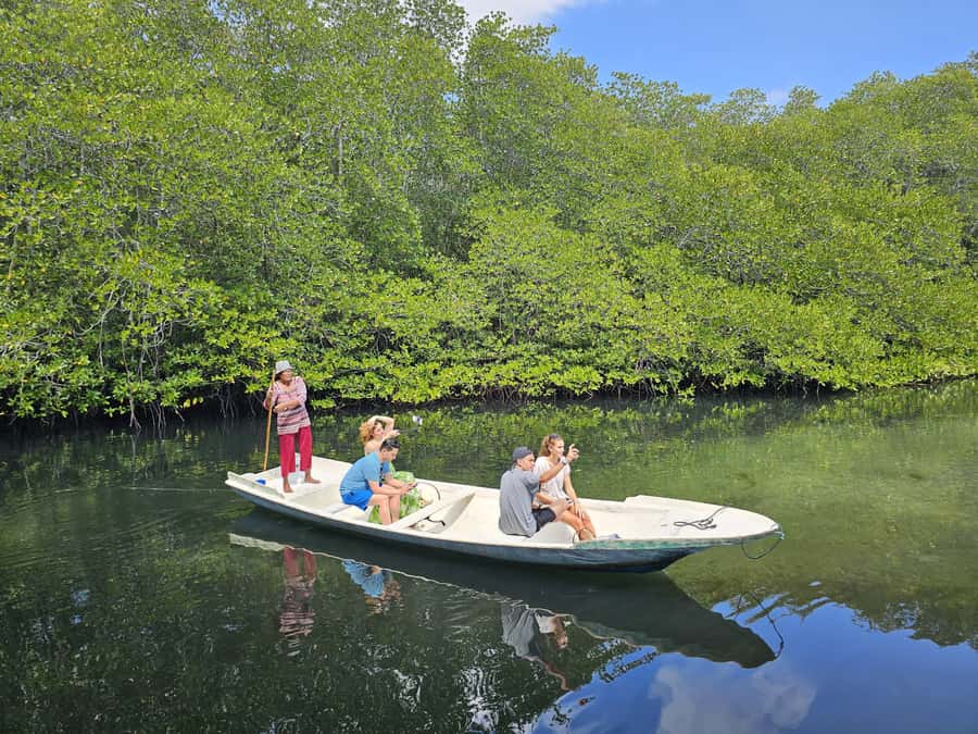 From Lembongan: Kayak/Paddleboard/Boat Mangrove Tour - Practical Stuff: What to Bring, What to Wear, and What’s Not Included
