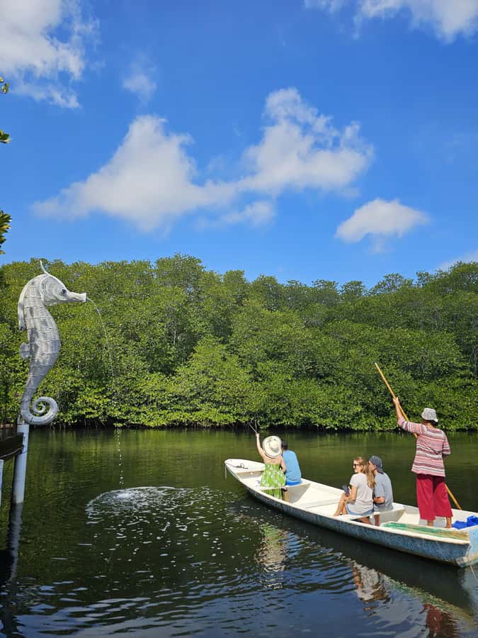 From Lembongan: Kayak/Paddleboard/Boat Mangrove Tour - Who Should Book, and Who Should Skip This Paddle