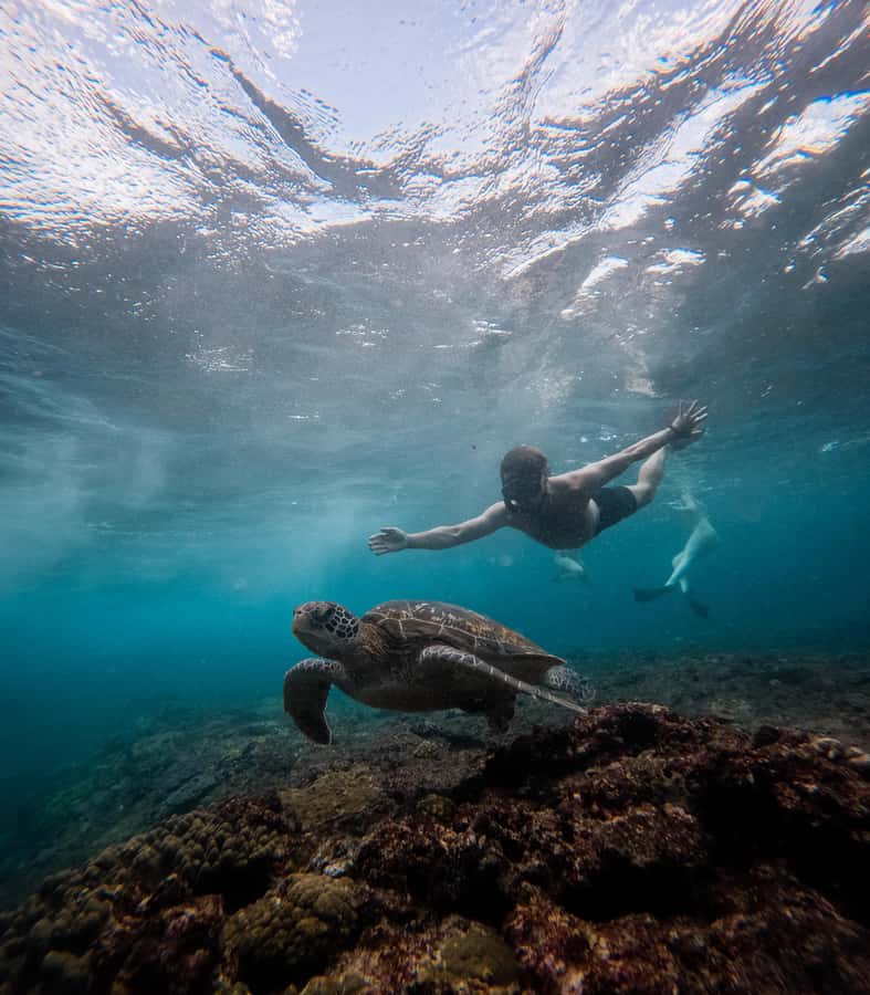 From Lembongan: Manta Point Snorkeling & West Penida Tour - Driving on Nusa Penida: narrow roads, good timing, and a real driver’s job