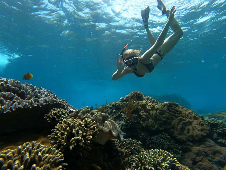 From Lembongan: Manta Point Snorkeling & West Penida Tour - Price and value at $63 for a 9-hour day
