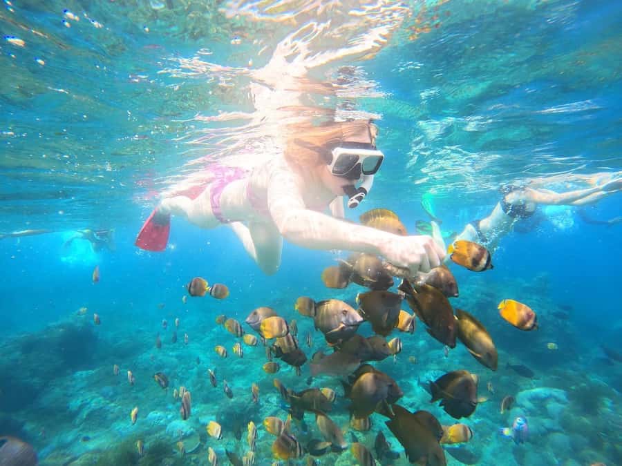 From Lembongan: Nusa Penida Private Snorkeling Tour - Quick hits
